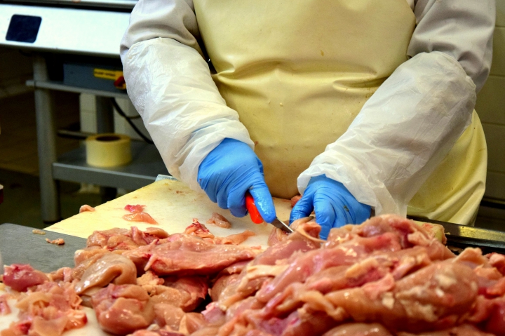 Ďalšie zdravie ohrozujúce poľské hydinové mäso na Slovensku