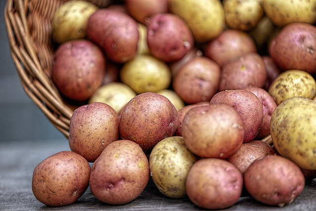 V RTVS aj o pestovaní zemiakov na Liptove 