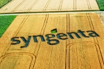 Syngentu prevezmú Číňania za 43 miliárd dolárov