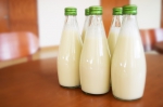 SR na čele EÚ bude žiadať aj neštandardné riešenia krízy s mliekom 
