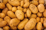 Situácia na Slovensku v sektore zemiakov sa mení