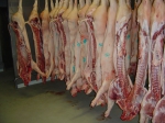 Vedecké stanovisko o riziku verejného zdravia spojenom s dodržiavaním chladiarenského reťazca počas skladovania a prepravy mäsa – časť druhá – mleté mäsá všetkých druhov zvierat