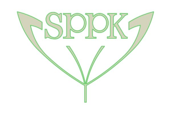 Dodatočný členský príspevok do SPPK v roku 2019 