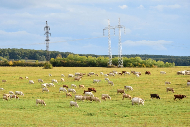 Monitoring jesenných prác k 17. októbru