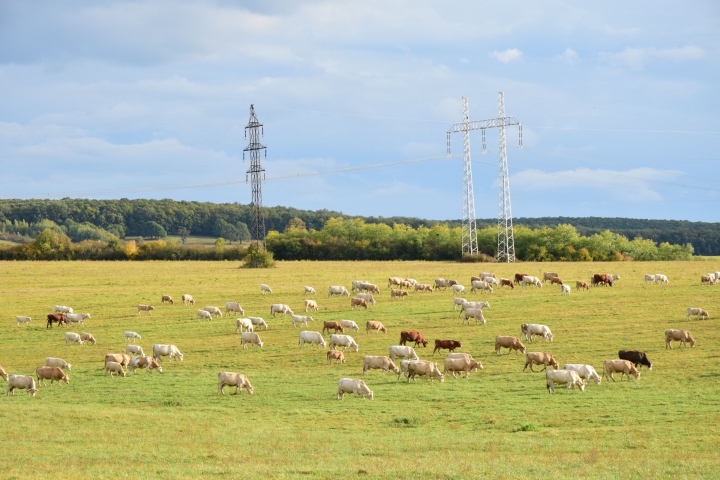 Pracovná skupina pre ekologické poľnohospodárstvo, 15. októbra 2019