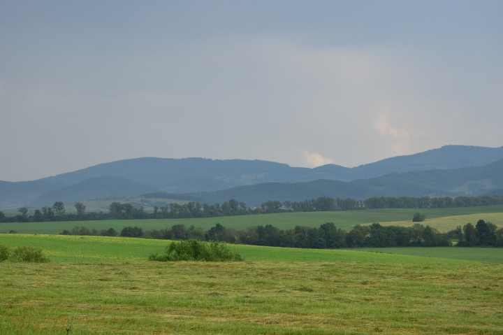 Pracovná skupina pre prezídium COGECA, 13. februára 2020 