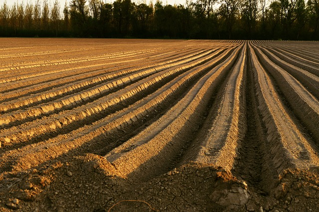 Sme za očistu slovenského agropotravinárstva