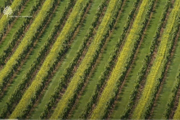 Hlavnú cenu festivalu Agrofilm 2019 získal český film „Zdravější krajina“