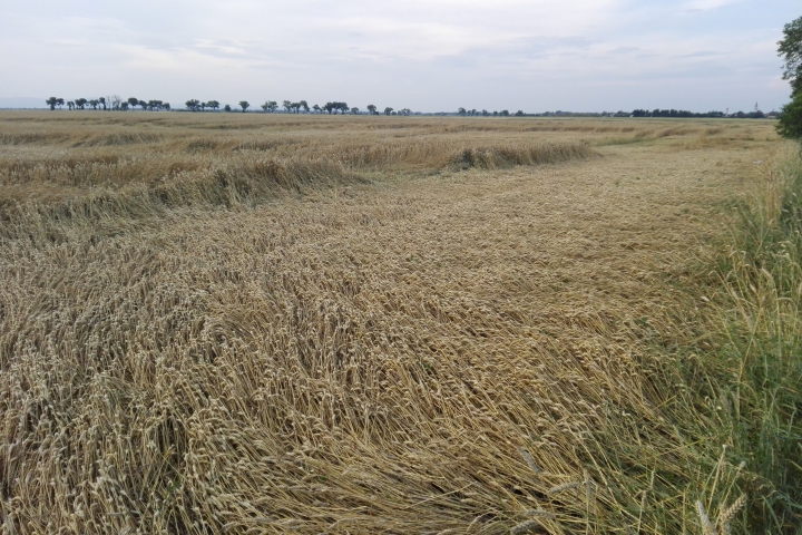 Výzva na platby poistného v poľnohospodárskej prvovýrobe