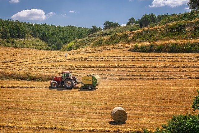 Žatva roku 2021 k 31. týždňu, aktuálne k 12.8.