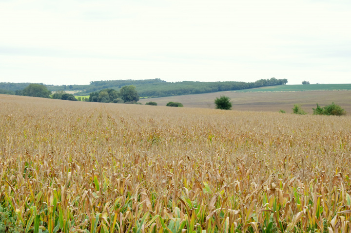 Monitoring jesenných prác (aktuálne k 14.10.2020)