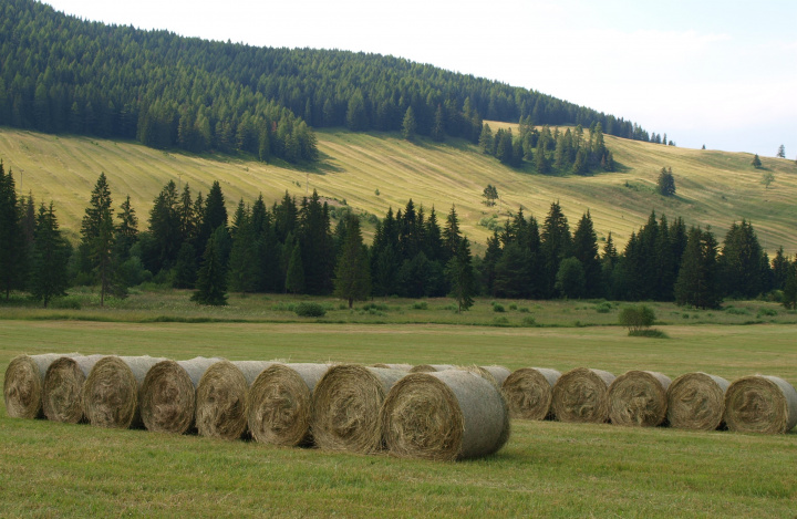 Pracovná skupina: Prezídium COGECA,  2. decembra 2021