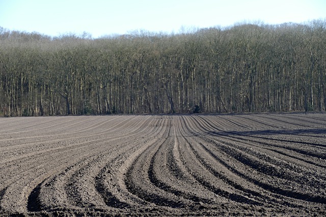 Aktuálna politická situácia komplikuje život v slovenskom agropotravinárstve