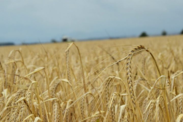 Spoločná deklarácia o dovoze poľnohospodárskych komodít z Ukrajiny 