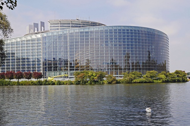 Komentár k postoju Európskeho parlamentu 