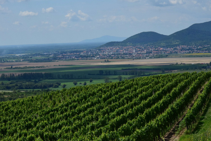 Podávanie jednotných žiadostí o podporu pre tento rok