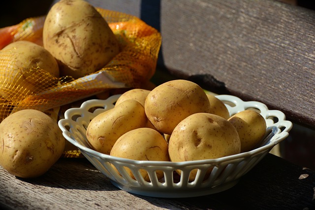 Pestovatelia zemiakov pozývajú na Deň zemiakového poľa