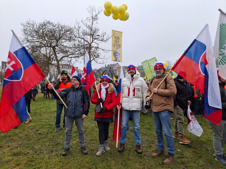 Protestovali sme v Štrasburgu 