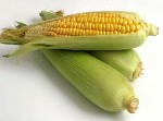Zdravotné riziká konzumácie potravín vyrobených na báze geneticky modifikovaných plodín