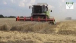 Poľnohospodári na Slovensku hodnotia prvú žatvu